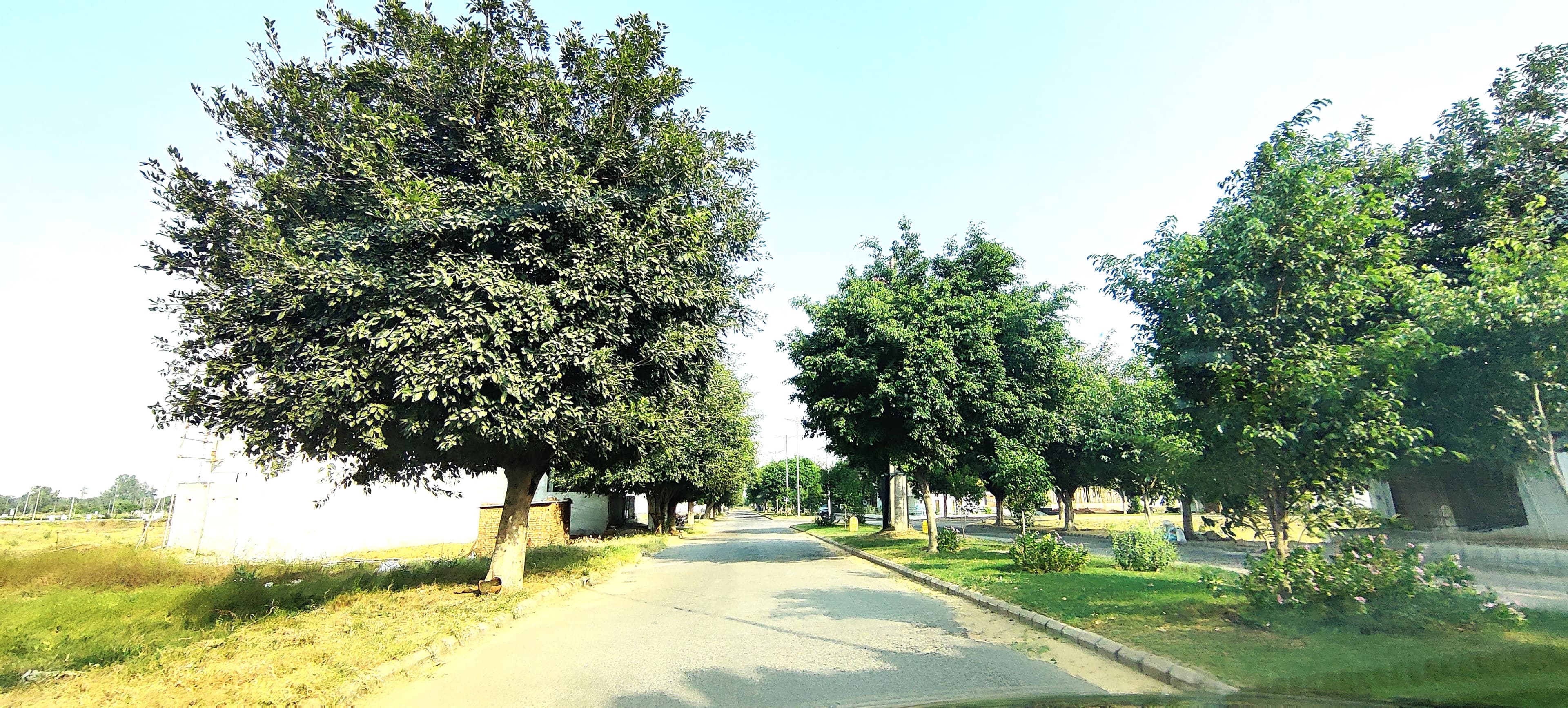 Bestech City Center — 240 Sq.Yd North , 4 Open Sides - Photo 5